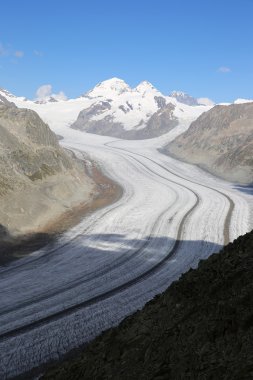 Aletsch Buzulu