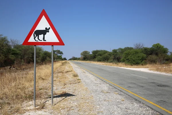 Állat Crossing — Stock Fotó