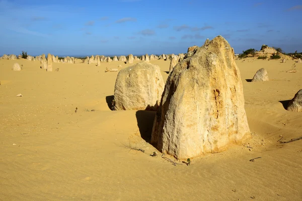 The Pinnacles — Stock Photo, Image