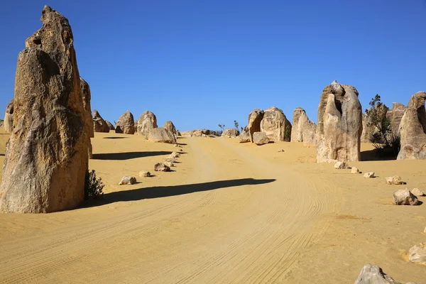 The Pinnacles Stock Image