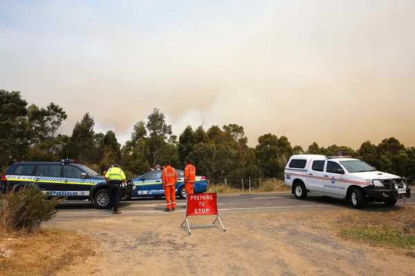 Skogsbrand i Tasmanien — Stockfoto