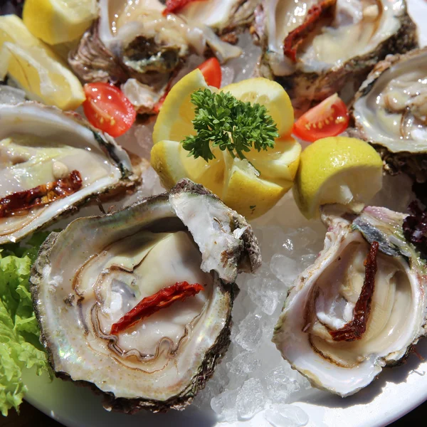 Fresh Oyster — Stock Photo, Image