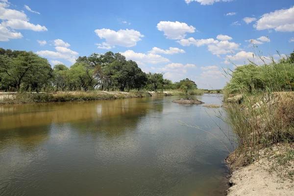 Río Okavango — Foto de Stock