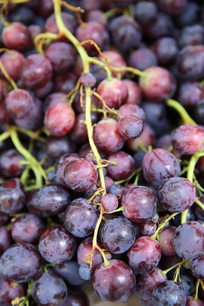 Uvas vermelhas — Fotografia de Stock