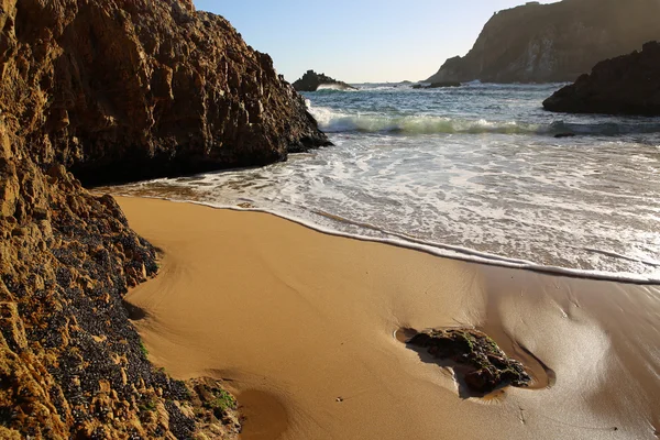 Knysna kafaları. Güney Afrika — Stok fotoğraf