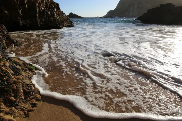 Cabeças knysna — Fotografia de Stock