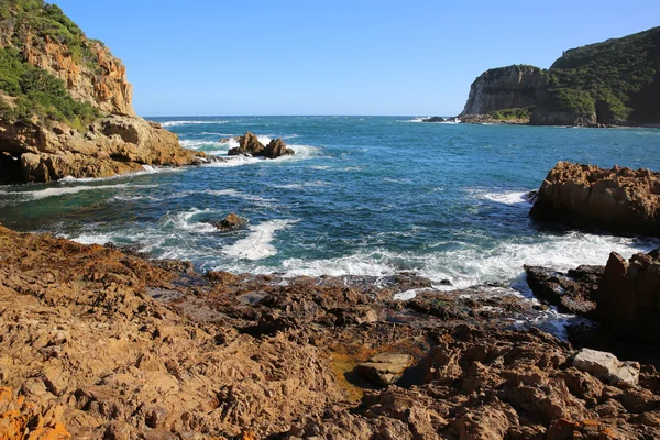 Knysna kafaları. Güney Afrika — Stok fotoğraf