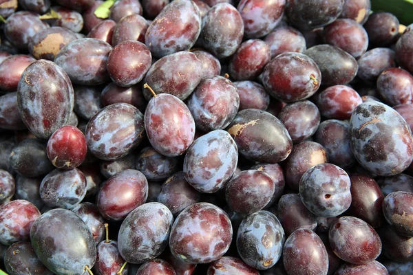 Ameixas — Fotografia de Stock