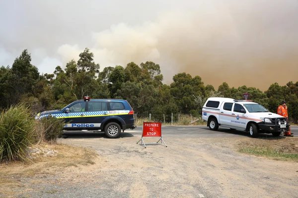 Пожежі в Австралії в Тасманії Ліцензійні Стокові Фото