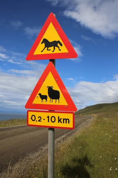 Animals Crossing — Stock Photo, Image