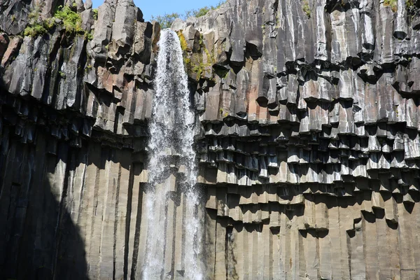 Cascata di Svartifoss. Paesi Bassi — Foto Stock