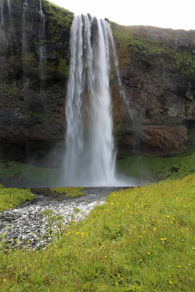 Seljalandsfoss καταρράκτη. Ισλανδία — Φωτογραφία Αρχείου