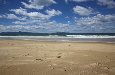 Tasmania'deki / daki Beach
