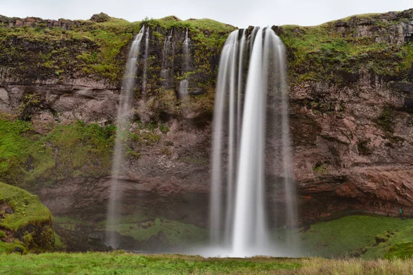 Seljalandsfoss Vízesés Körül Angelica Nyáron Izlandon Dél Izland — Stock Fotó