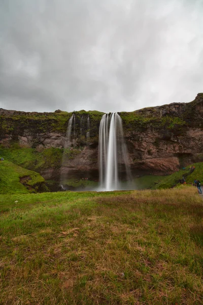 Cascade Seljalandsfoss Entourée Angelica Été Islande Islande Sud Route — Photo