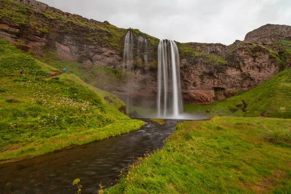 Wodospad Seljalandsfoss Otoczony Angelicą Latem Islandia Południowa Islandia Droga — Zdjęcie stockowe