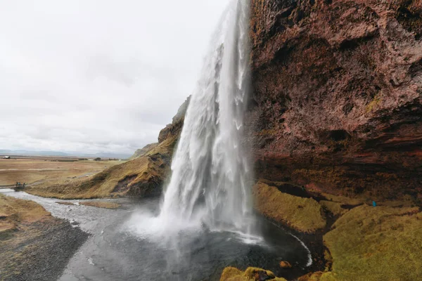 Seljalandsfoss Vandfald Omgivet Angelica Sommeren Island Sydisland Rute - Stock-foto