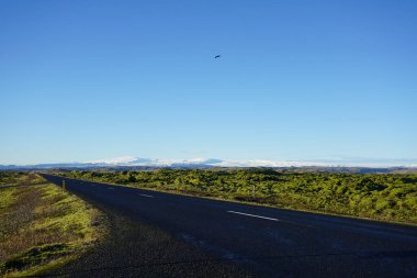 1. Yol ve Vatnajokull Buzulu, Skaftafell Ulusal Parkı, İzlanda
