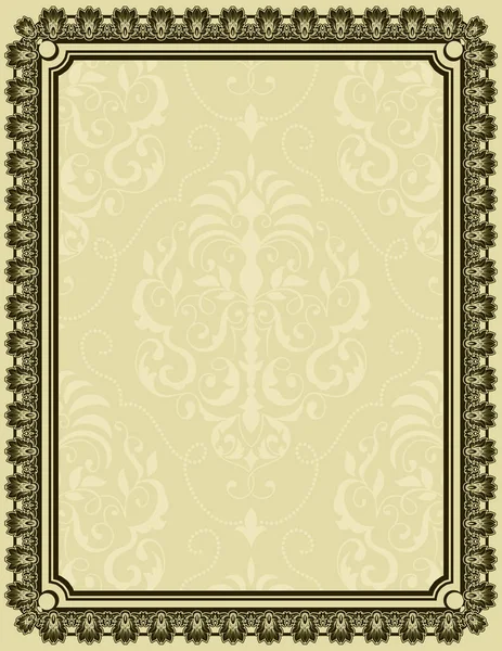 Decorative Vintage Background Elegant Patterns Border — Stock Photo, Image