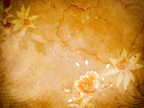 Grunge paper background with flowers. — Stock Photo, Image