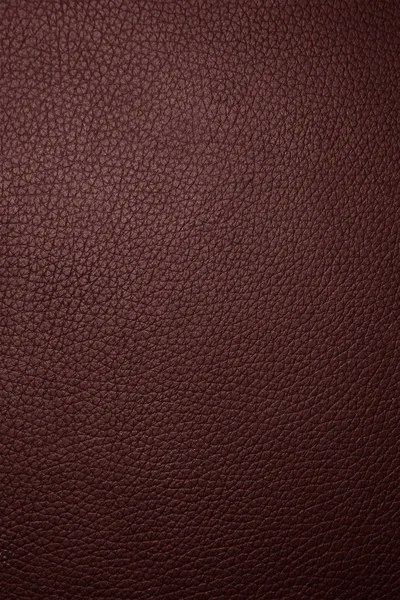 Textura de cuero marrón . — Foto de Stock