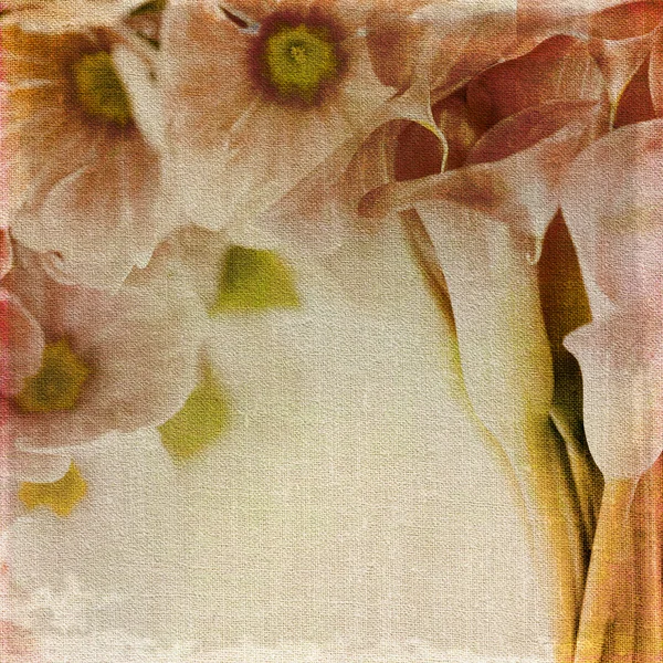 Old canvas and floral print. — Stock Photo, Image