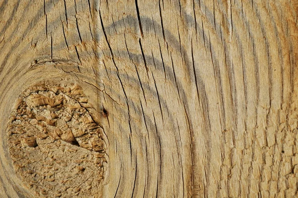 Textura de madeira. — Fotografia de Stock