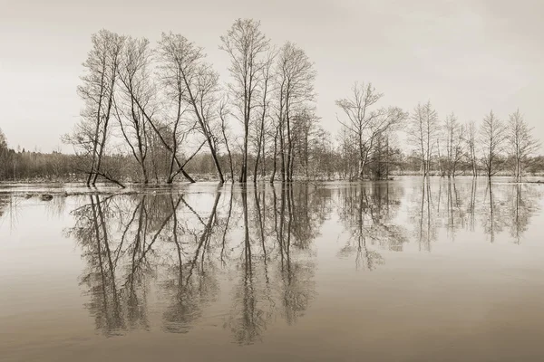 Picture of spring flood toned in sepia — Stock Photo, Image