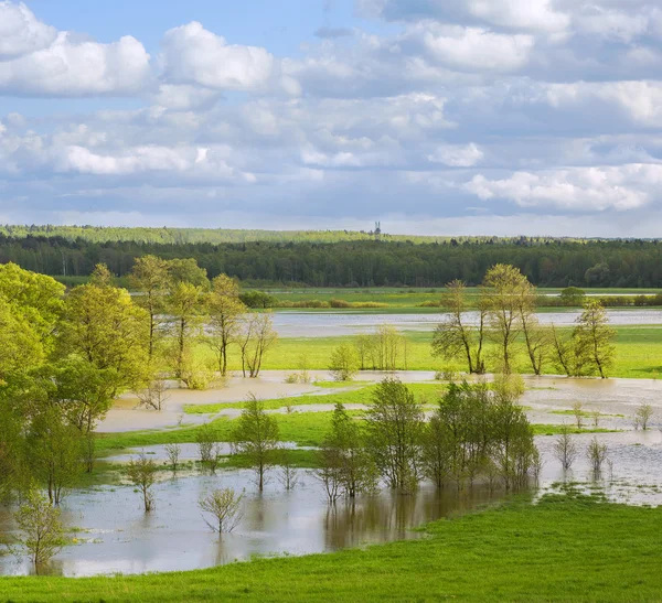 Una inundación de un pequeño río —  Fotos de Stock