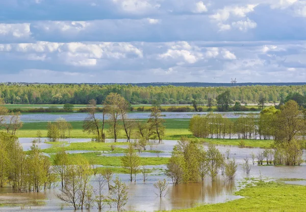 Una inundación de un pequeño río — Foto de Stock