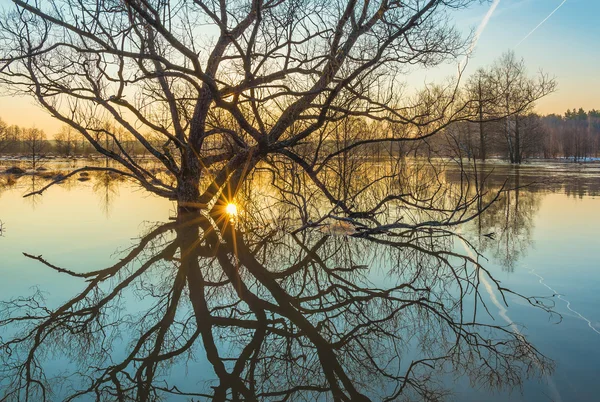 Lente-overstroming. Rivier Sukhodrev, Kaloega regio, Rusland — Stockfoto