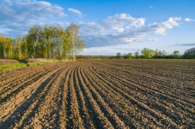 Bahar Çiftlik alanında