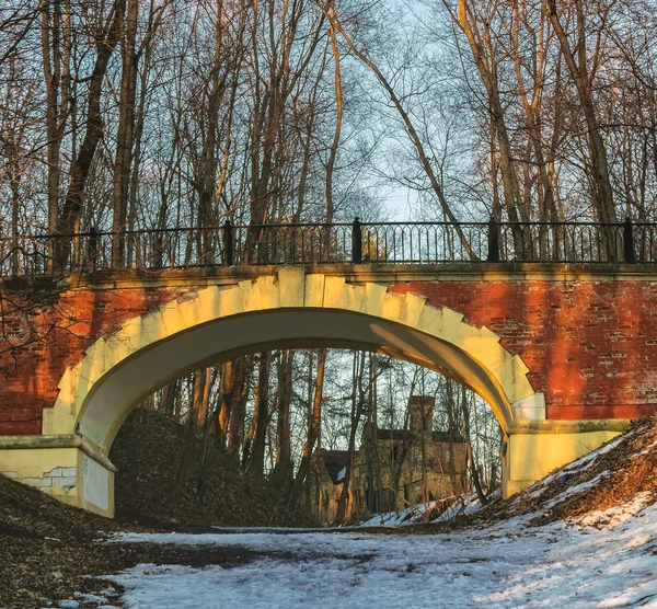 Most v parním parku Sukhanovo v blízkosti Moskvy, Ruska — Stock fotografie