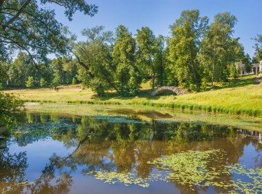 Pavlovsk park yakınındaki St-petersburg, Rusya Federasyonu