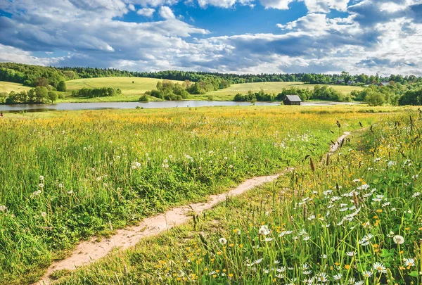 Summer landscape. Muranovo. Moscow region, Russia. — Stock Photo, Image