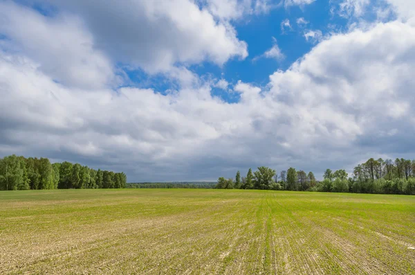 Spring scene. Kauga region, Russia — Stock Photo, Image