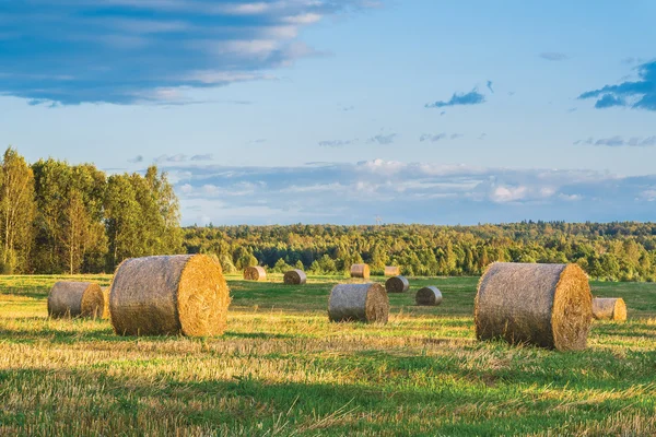 面包卷的稻草。俄罗斯卡卢加地区 — 图库照片