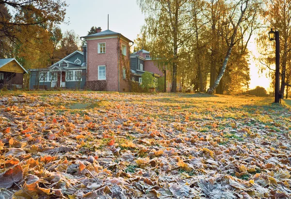 秋の朝の霜 — ストック写真
