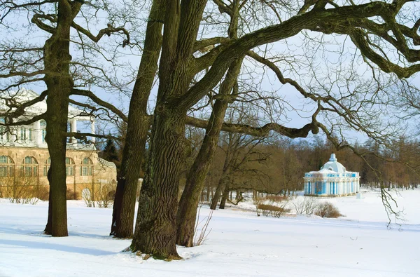 Catherine Park — Stok fotoğraf