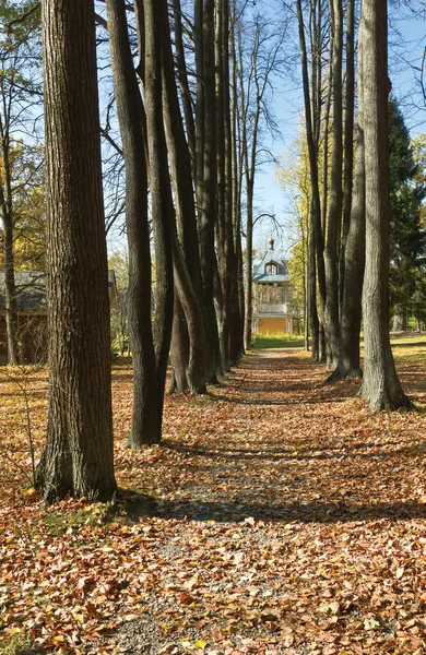 Park w jesieni — Zdjęcie stockowe