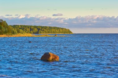 Rusya, Baltık Denizi, Finlandiya Körfezi ile