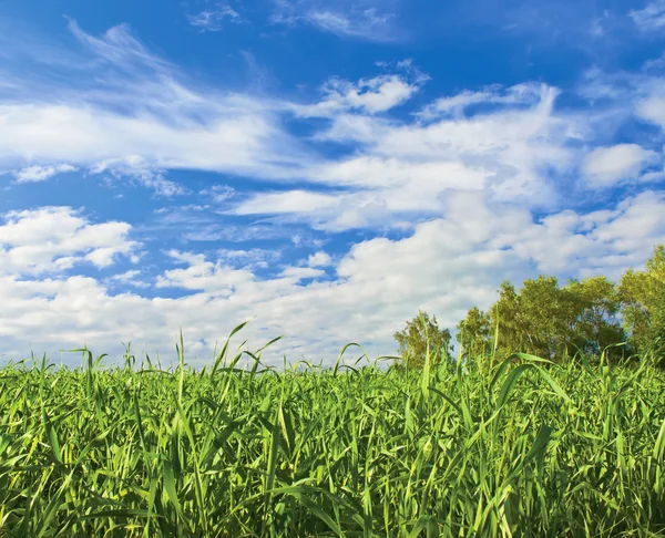 Platteland — Stockfoto