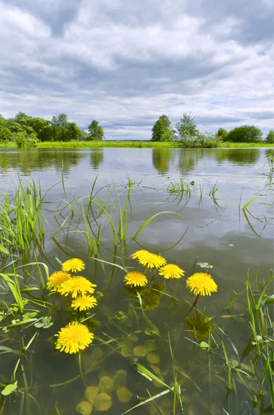 Regenachtige zomer. — Stockfoto