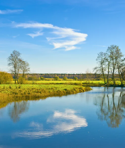 Wolk vlucht — Stockfoto