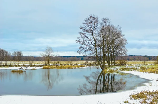 Sulky dzień — Zdjęcie stockowe