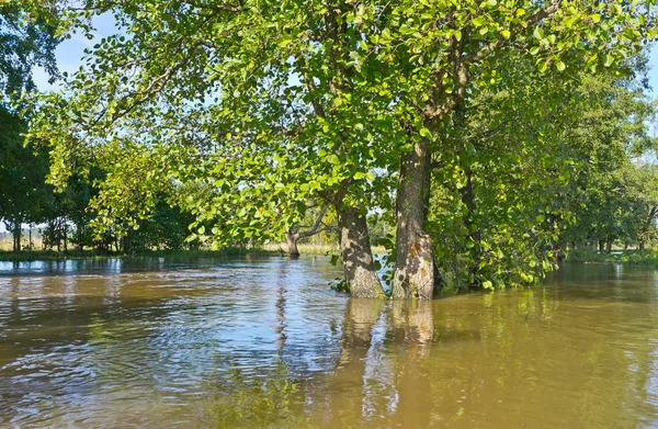 Sommerhochwasser — Stockfoto