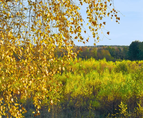 Herbst — Stockfoto