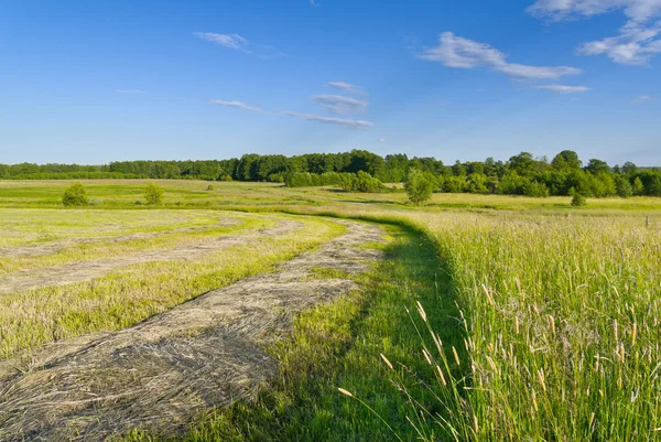 Hayfield. — Foto de Stock