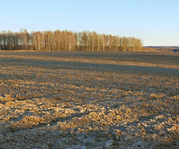 Arable land — Stock Photo, Image