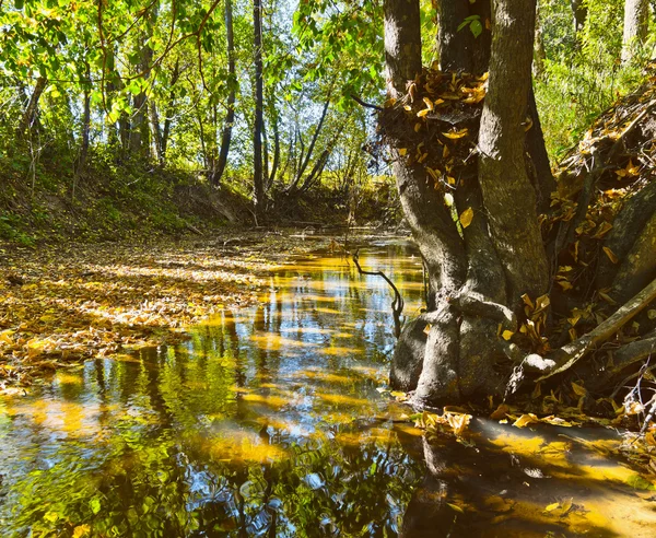 Een stream — Stockfoto